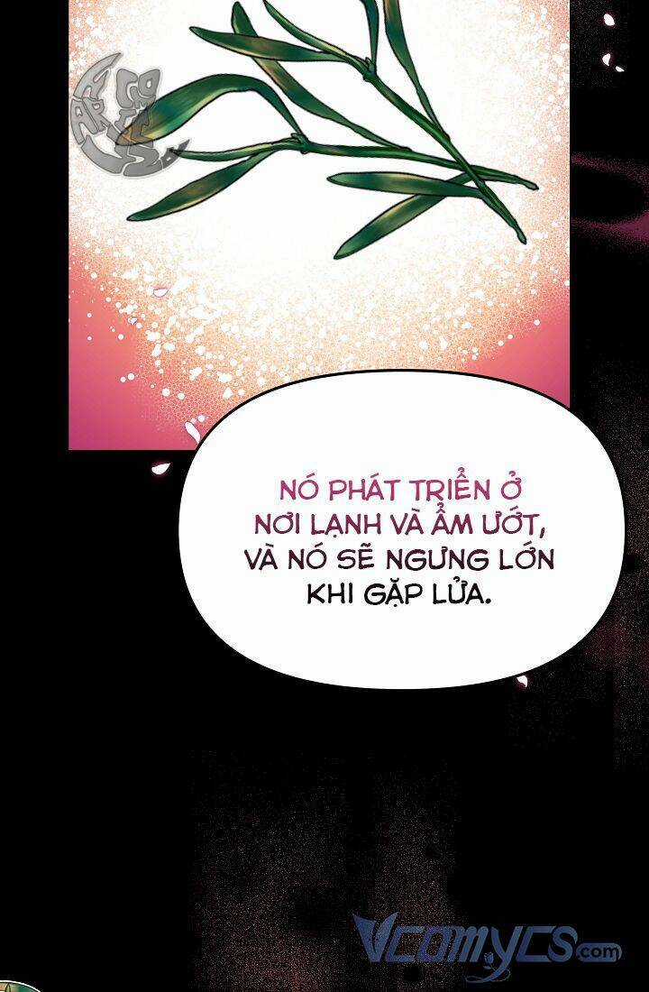 Chủ Nhân Cô Nhi Viện Muốn Nghỉ Ngơi Chapter 48 trang 102