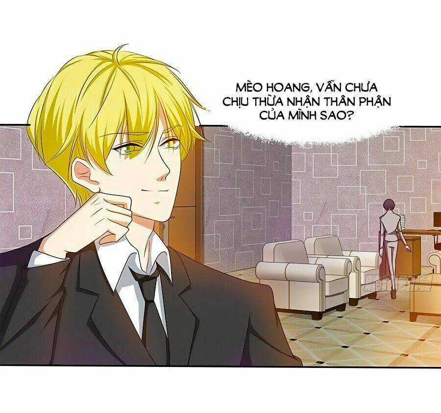 Chủ Tịch Và Nữ Sát Thủ Chapter 12 trang 2