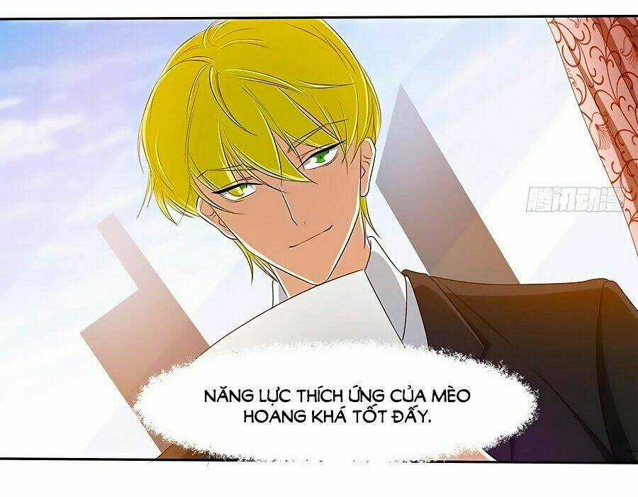 Chủ Tịch Và Nữ Sát Thủ Chapter 12 trang 4