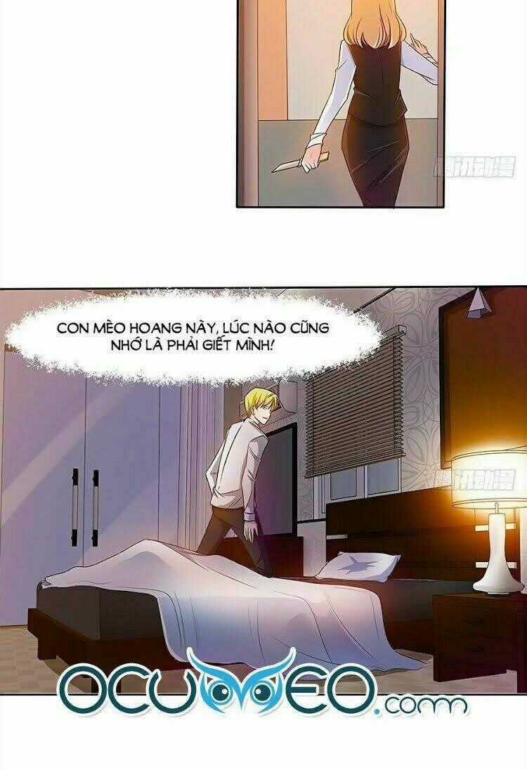 Chủ Tịch Và Nữ Sát Thủ Chapter 19 trang 12