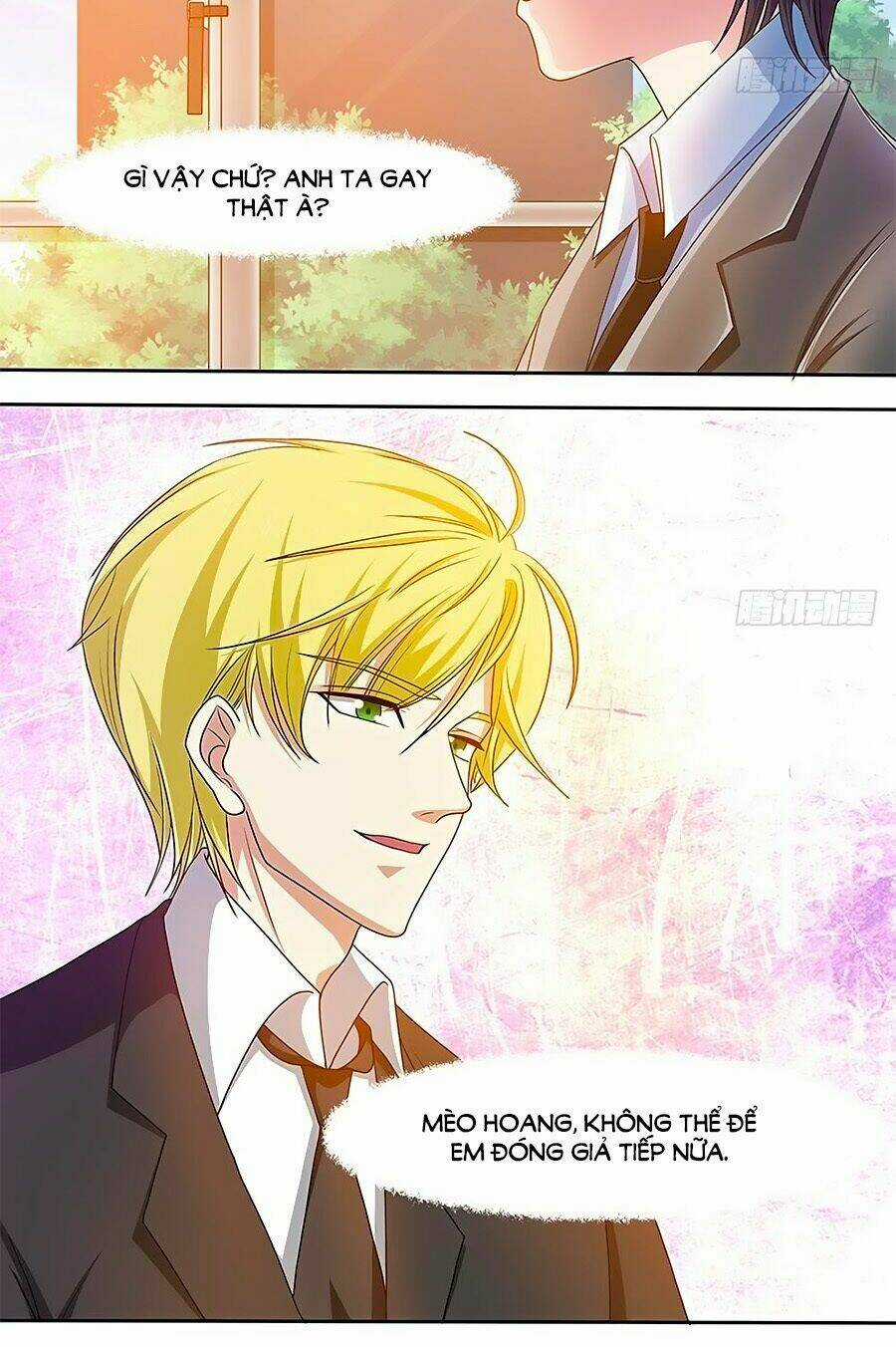 Chủ Tịch Và Nữ Sát Thủ Chapter 22 trang 5