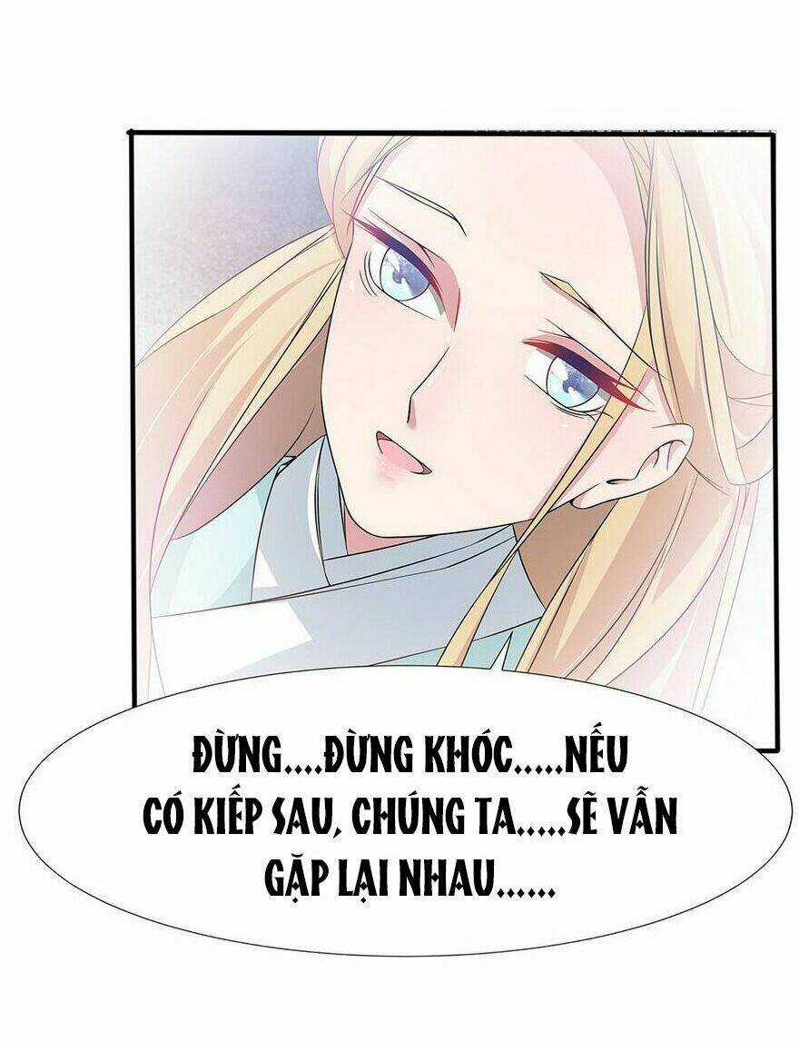Chủ Tịch Và Nữ Sát Thủ Chapter 52 trang 5