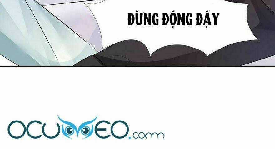 Chủ Tịch Và Nữ Sát Thủ Chapter 56 trang 19