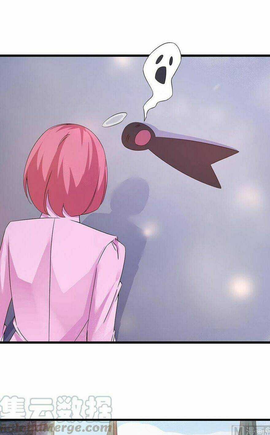 Chủ Tịch Và Nữ Sát Thủ Chapter 68 trang 39