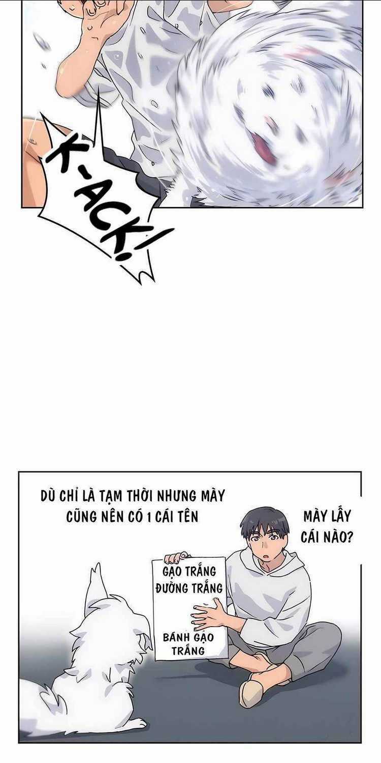 Chữa Lành Cuộc Sống Thông Qua Cắm Trại Ở Thế Giới Khác Chapter 2 trang 31