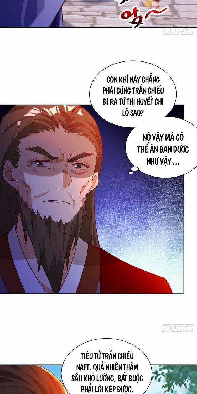 Chúa Tể Tam Giới Chapter 173 trang 2