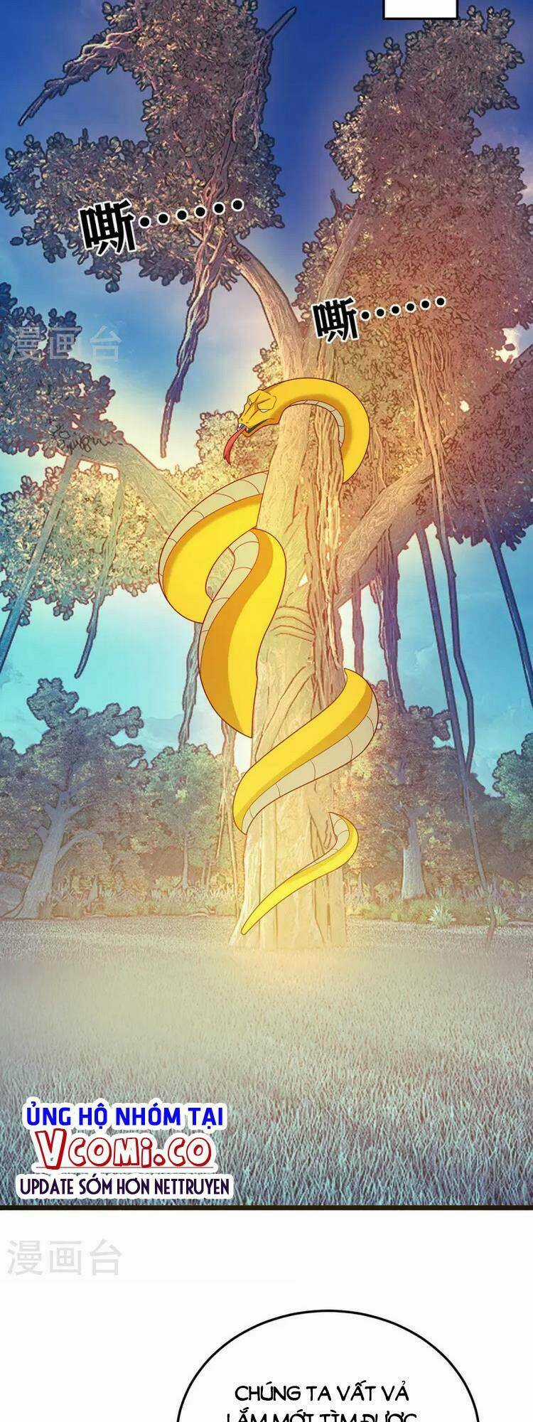 Chúa Tể Tam Giới Chapter 271 trang 19