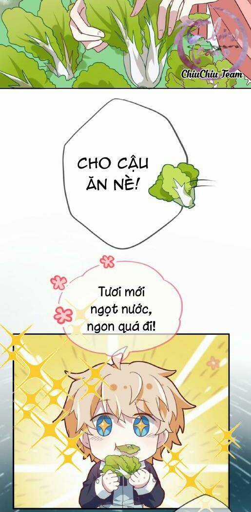 Chung Cư Yêu Quái Chapter 70 trang 30