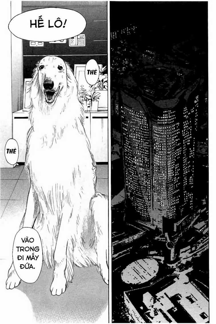 Chúng Tôi Đã Làm Được Rồi! Chapter 11 trang 11