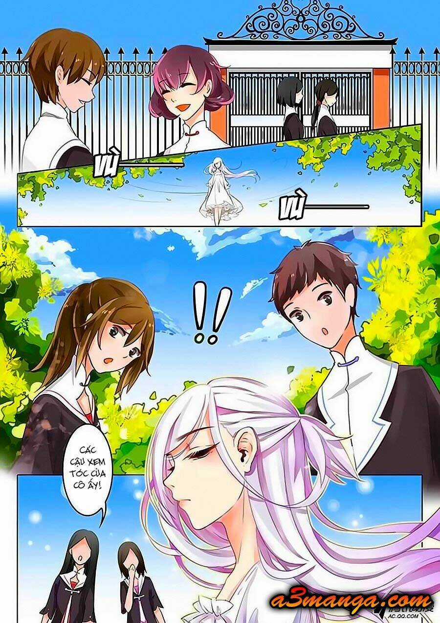 Chước Chước Lưu Ly Hạ Chapter 1 trang 3