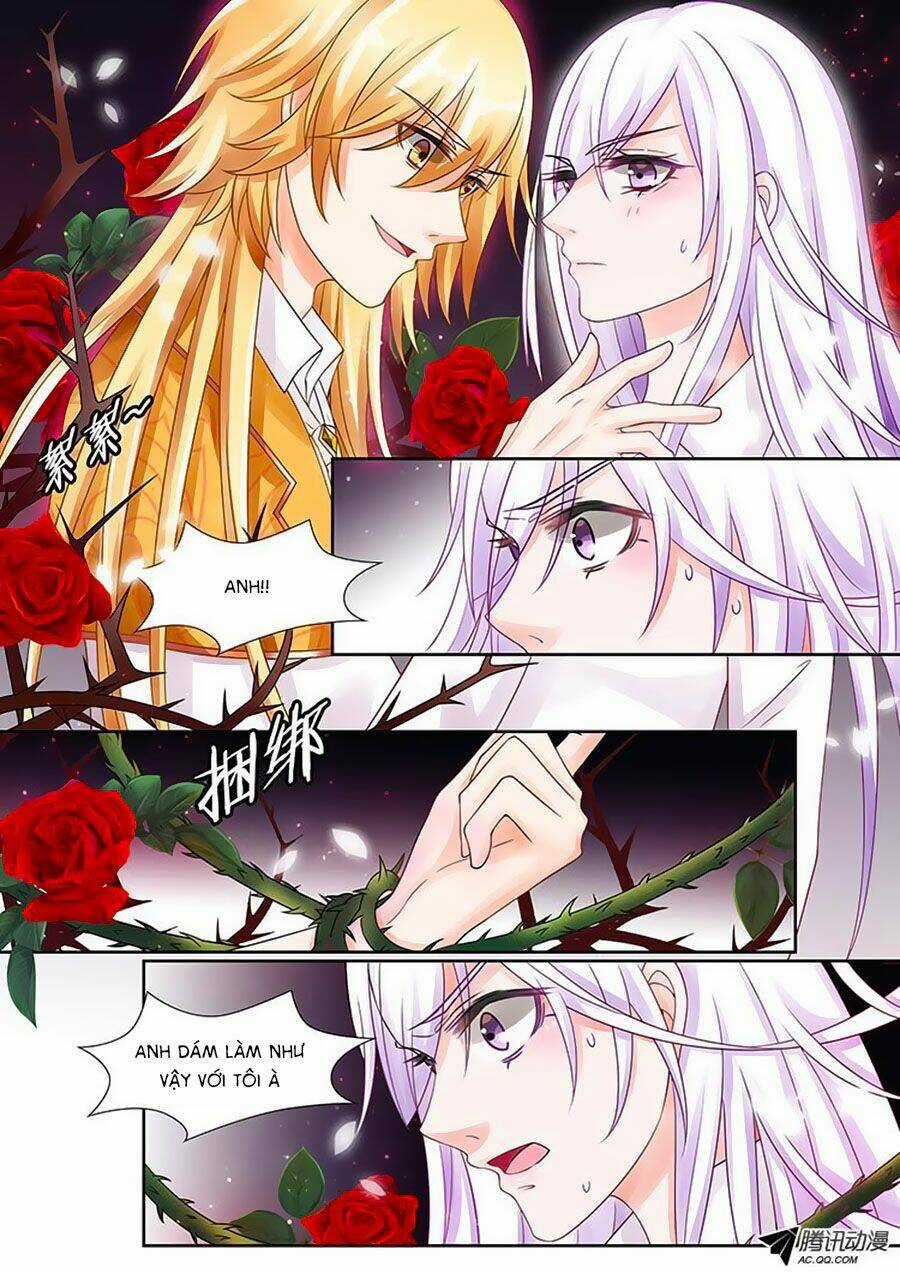 Chước Chước Lưu Ly Hạ Chapter 26 trang 4