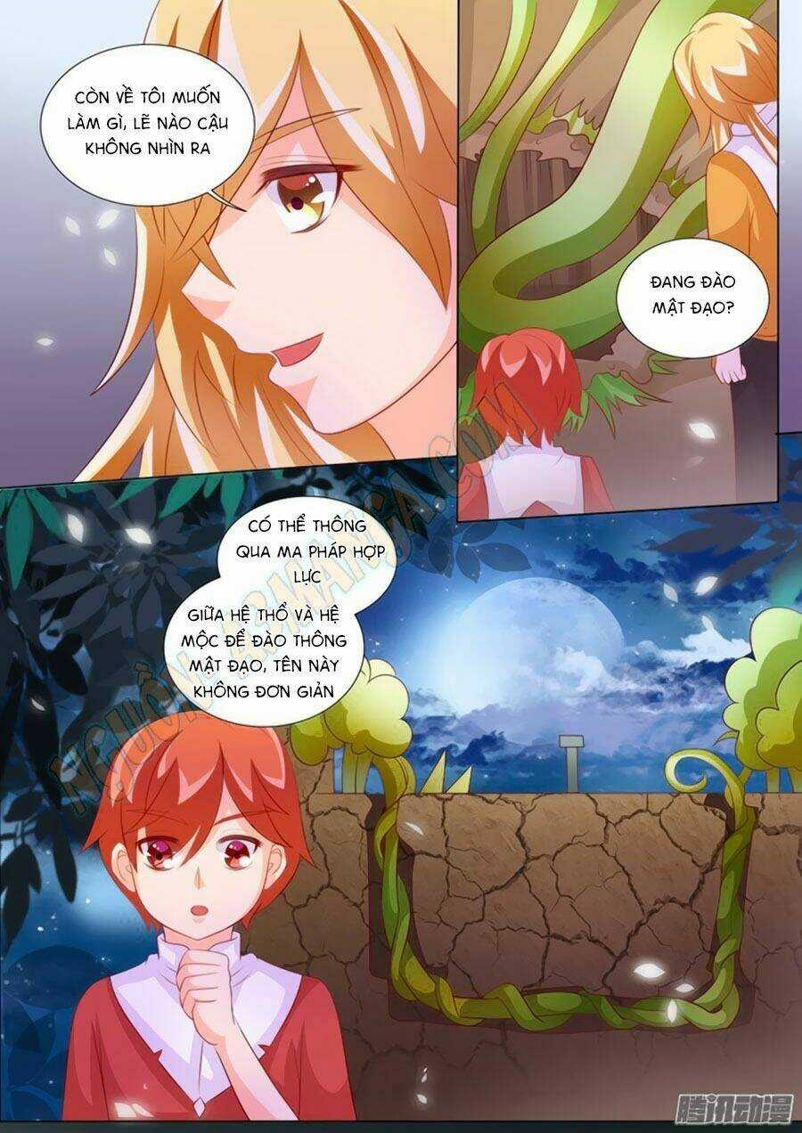 Chước Chước Lưu Ly Hạ Chapter 94 trang 4