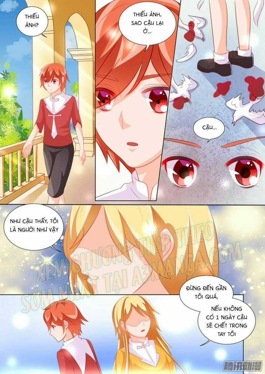 Chước Chước Lưu Ly Hạ Chapter 94 trang 8