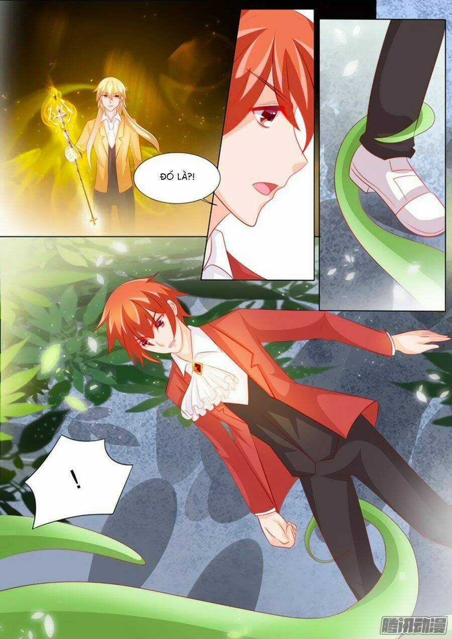 Chước Chước Lưu Ly Hạ Chapter 96 trang 3