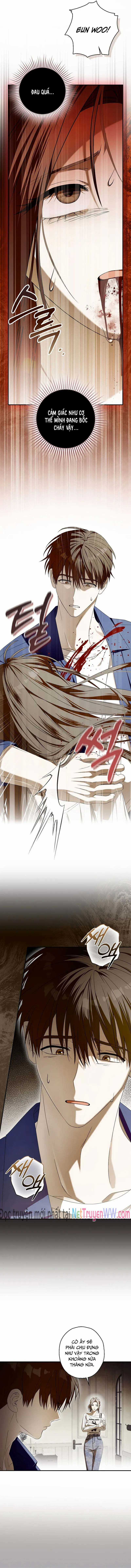 Chuỗi Thức Ăn Chapter 50 trang 15