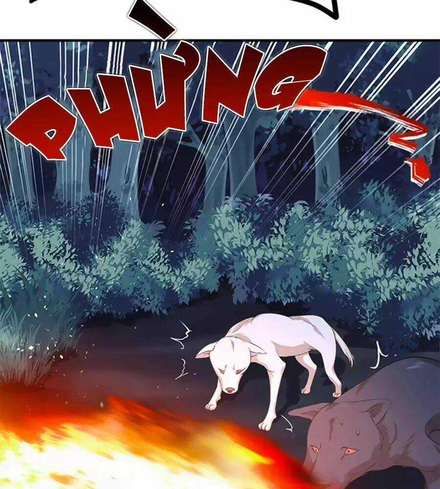 Chưởng Gia Tiểu Nương Tử Chapter 7 trang 54