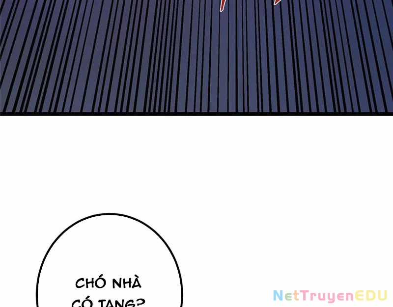 Chưởng Môn Khiêm Tốn Chút Chapter 470 trang 11