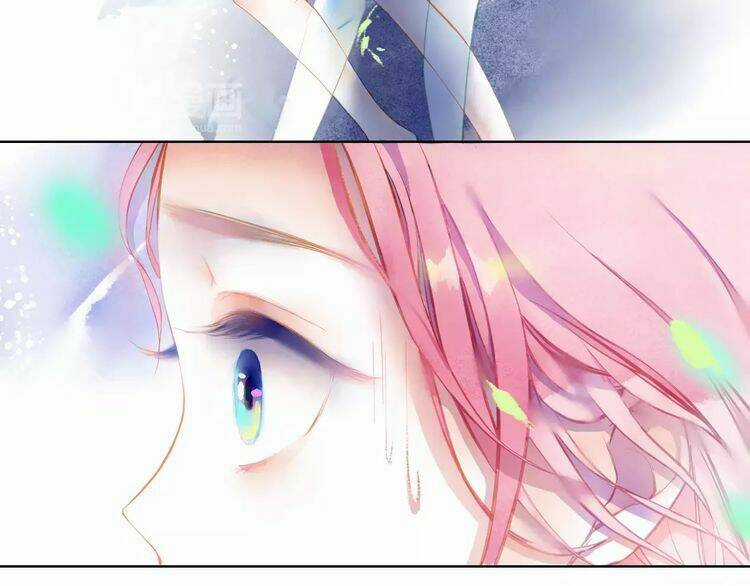 Chuông Và Lá Chapter 0 trang 41