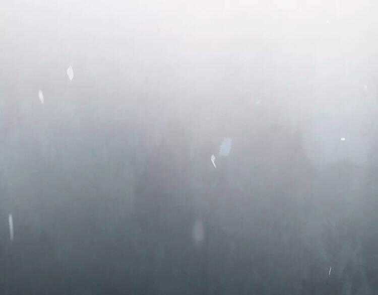 Chuông Và Lá Chapter 0 trang 48