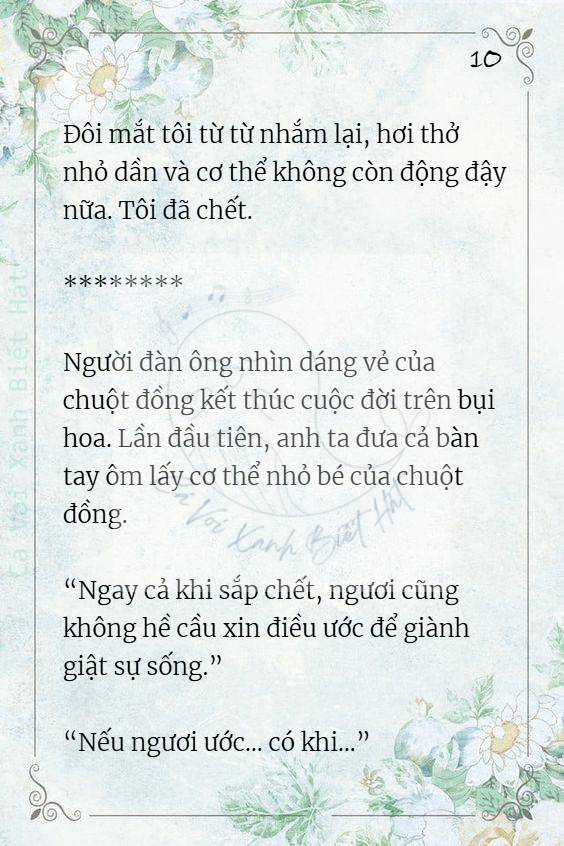 Chuột Đồng Và Lọ Lem Chạy Trốn Khỏi Câu Truyện Cổ Tích Chapter 1 trang 11