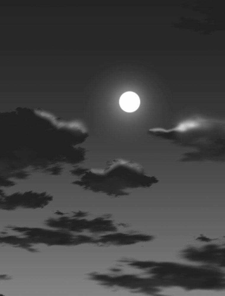 Chuyển Hóa Chapter 20 trang 117