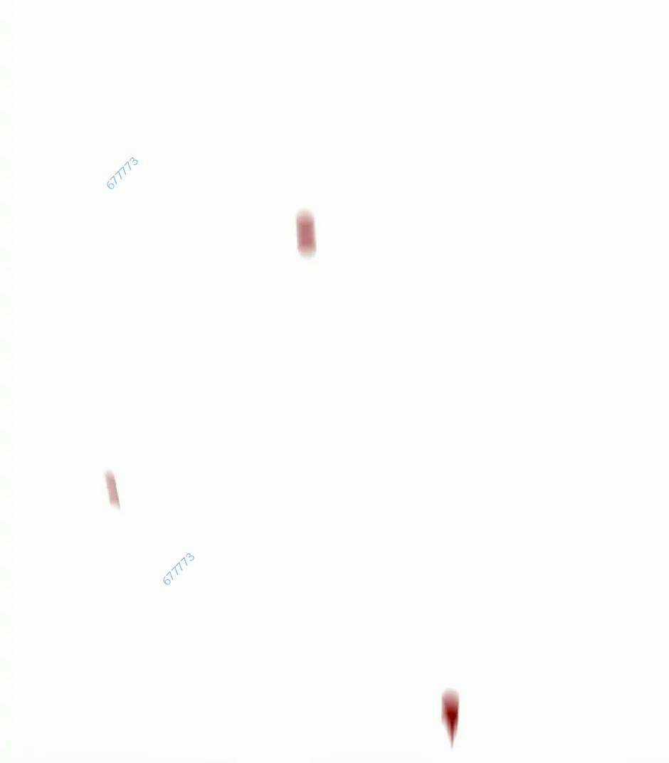 Chuyển Hóa Chapter 38 trang 94