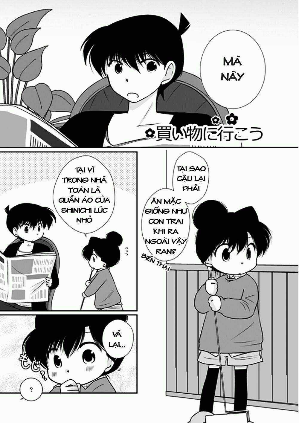 Chuyện ngắn về Shinichi và Ran tại công viên giải trí Chapter 1 trang 19