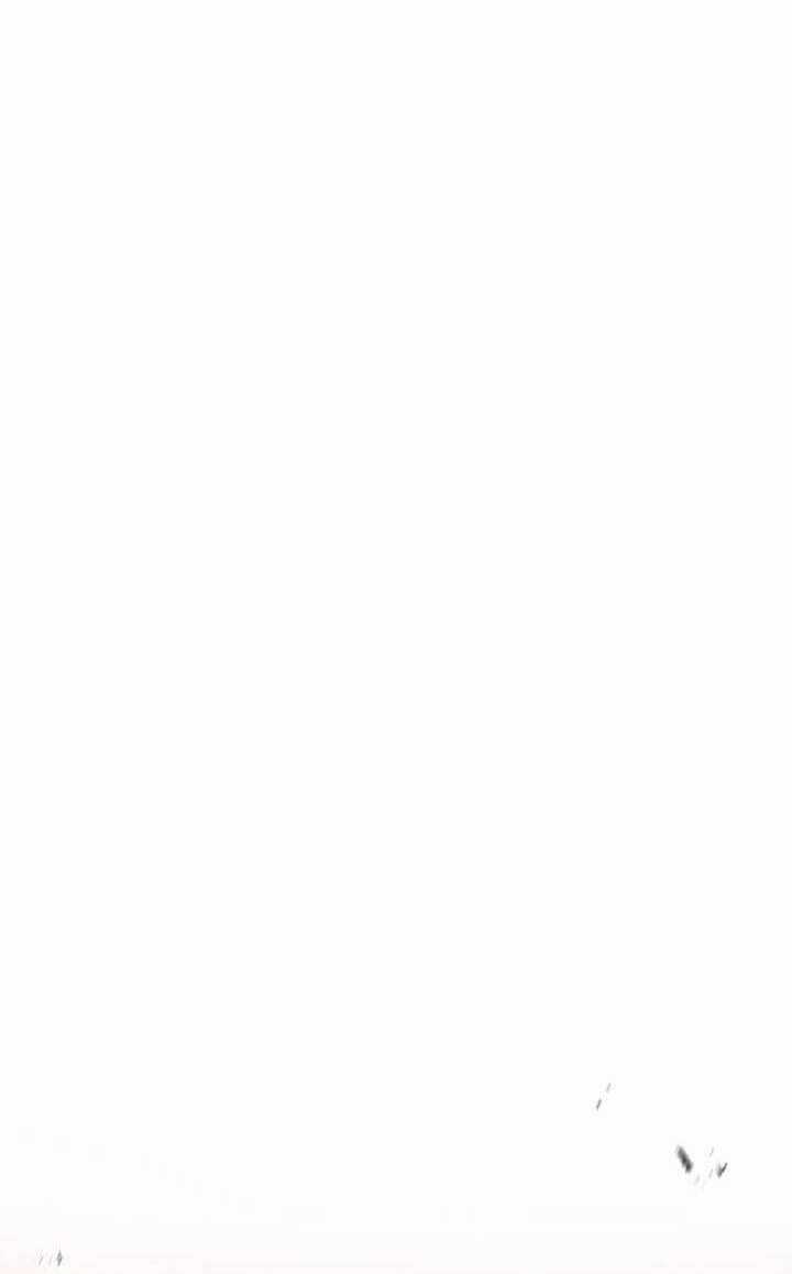 Chuyển Sinh Ma Pháp Đặc Biệt Yếu Chapter 230 trang 71