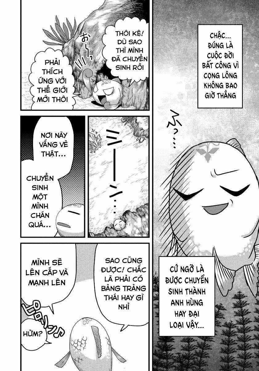 Chuyển Sinh Thành Cá, Tôi Sẽ Tiến Hóa Thành Rồng Ở Dị Giới Chapter 1.1 trang 8