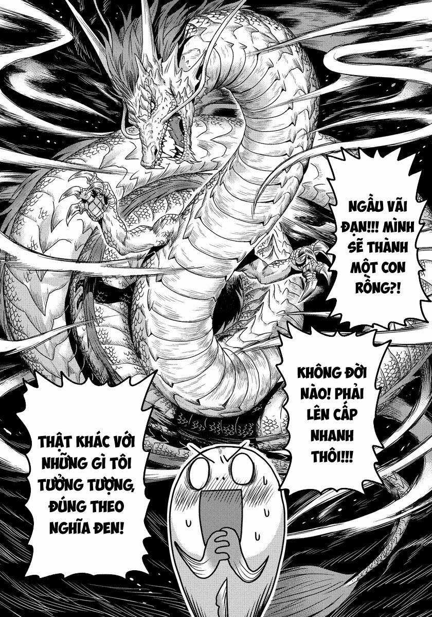 Chuyển Sinh Thành Cá, Tôi Sẽ Tiến Hóa Thành Rồng Ở Dị Giới Chapter 1.2 trang 4