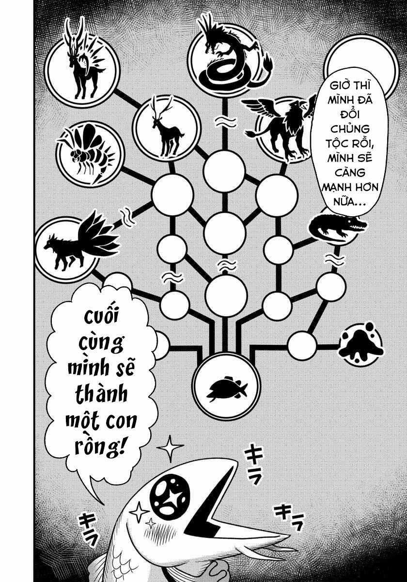 Chuyển Sinh Thành Cá, Tôi Sẽ Tiến Hóa Thành Rồng Ở Dị Giới Chapter 3.1 trang 10