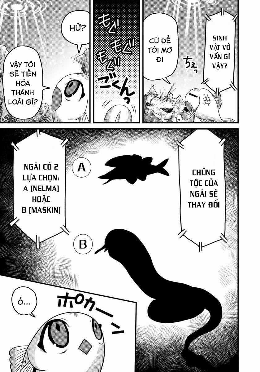 Chuyển Sinh Thành Cá, Tôi Sẽ Tiến Hóa Thành Rồng Ở Dị Giới Chapter 3.1 trang 5