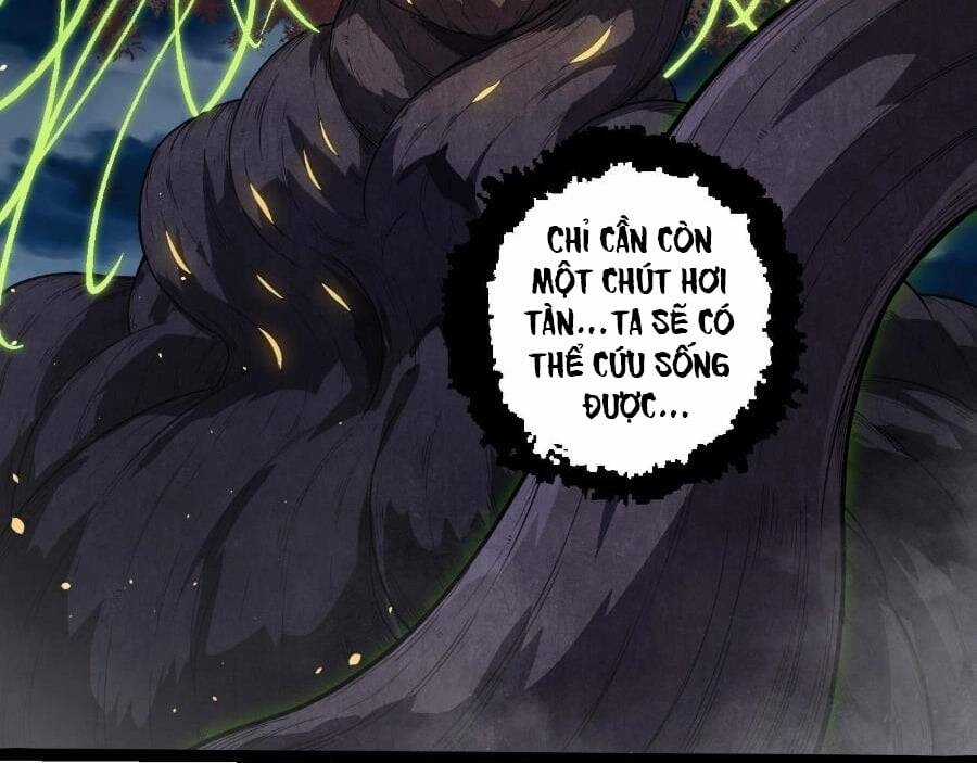 Chuyển Sinh Thành Liễu Đột Biến Biotechnology courses Chapter 278 trang 56