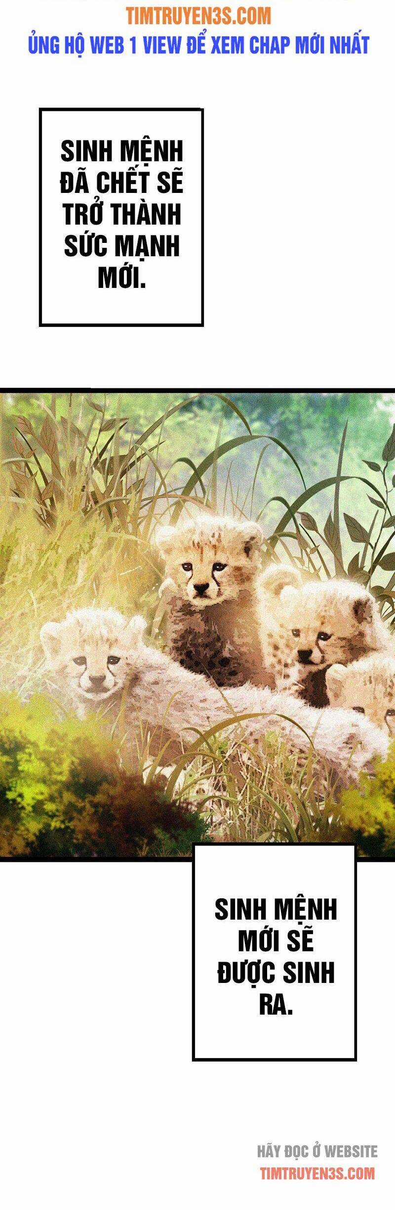 Chuyển Sinh Thành Liễu Đột Biến Chương 13 trang 62