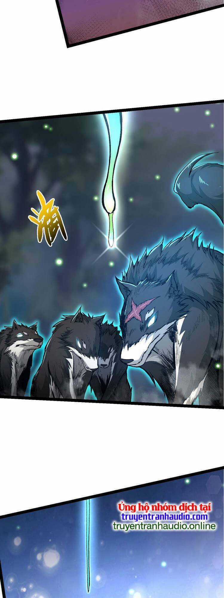 Chuyển Sinh Thành Liễu Đột Biến Chương 14 trang 11