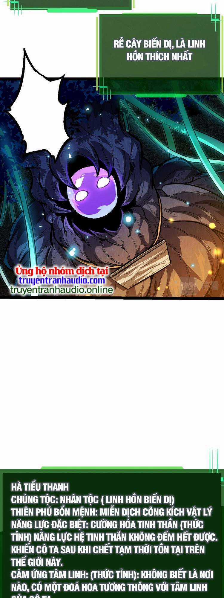 Chuyển Sinh Thành Liễu Đột Biến Chương 15 trang 10