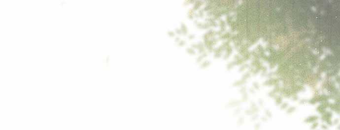 Chuyển Sinh Thành Thiên Tài Xuất Chúng Của Danh Môn Thế Gia Chapter 27 trang 77