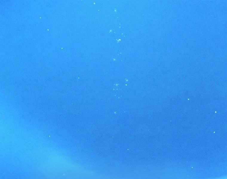 Chuyển Sinh Thành Tiêu Sư Chương 1 trang 306