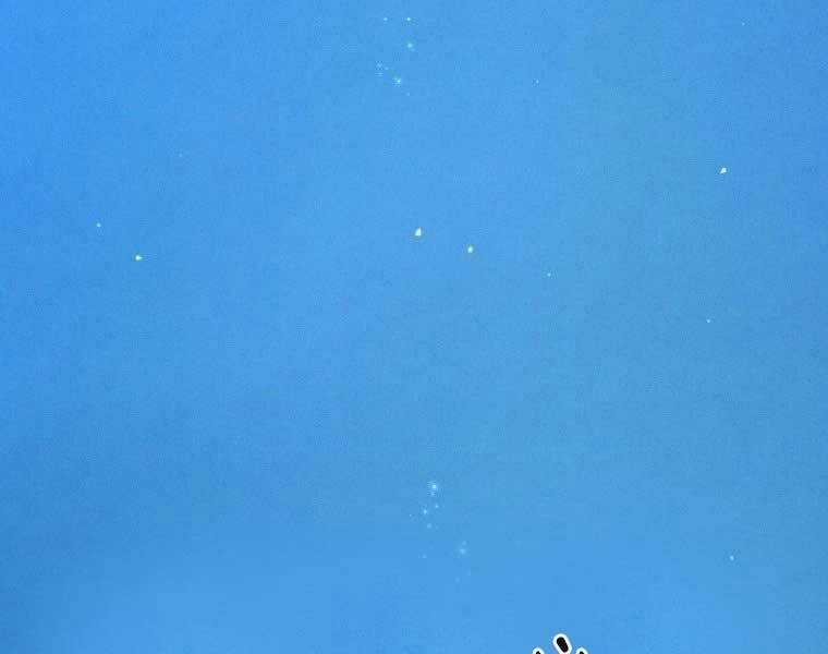 Chuyển Sinh Thành Tiêu Sư Chương 1 trang 308