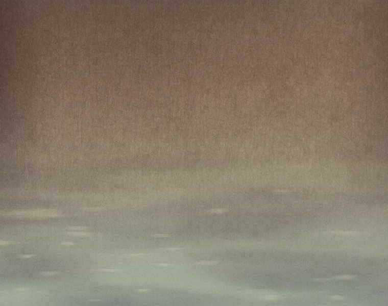 Chuyển Sinh Thành Tiêu Sư Chương 2 trang 91