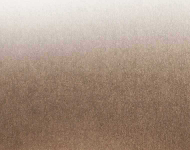 Chuyển Sinh Thành Tiêu Sư Chương 3 trang 136