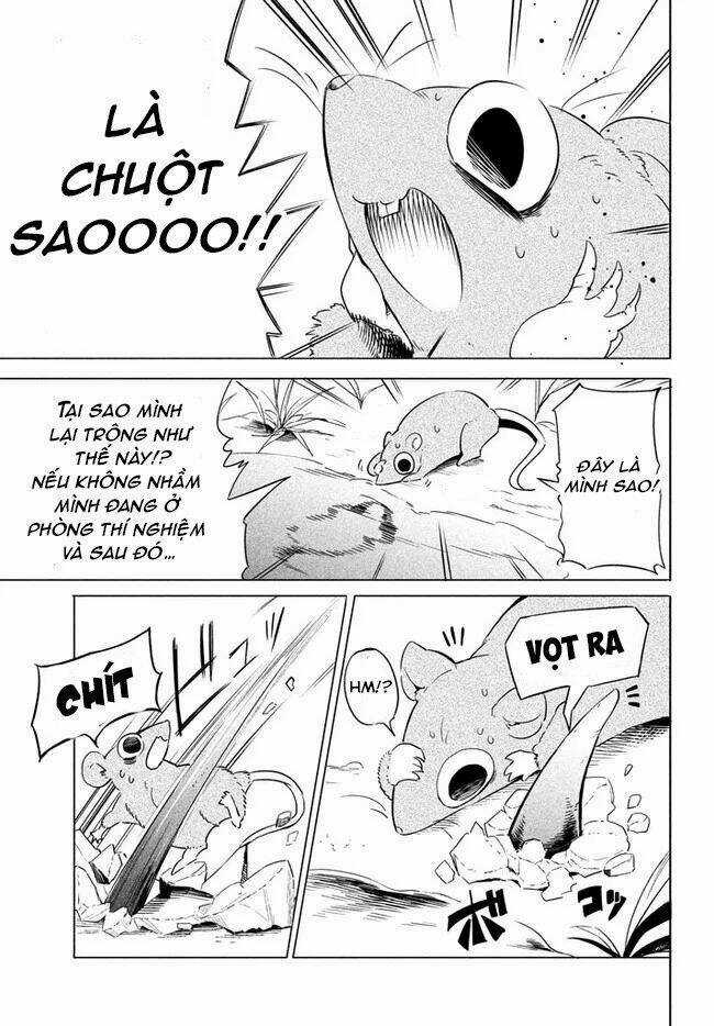 Chuyển Sinh Thành Virus Và Quá Trình Lây Nhiễm Ở Thế Giới Khác Chapter 1 trang 12