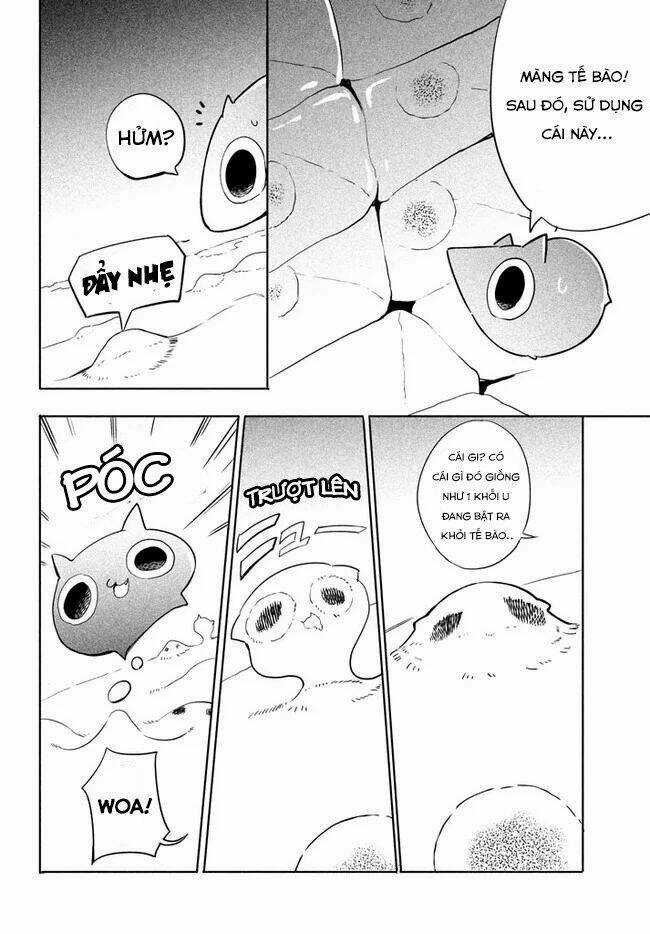 Chuyển Sinh Thành Virus Và Quá Trình Lây Nhiễm Ở Thế Giới Khác Chapter 1 trang 21