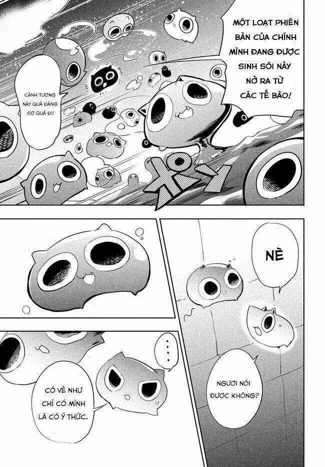 Chuyển Sinh Thành Virus Và Quá Trình Lây Nhiễm Ở Thế Giới Khác Chapter 1 trang 22