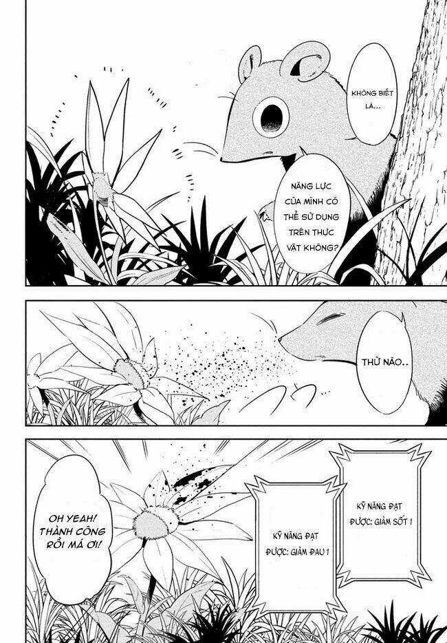 Chuyển Sinh Thành Virus Và Quá Trình Lây Nhiễm Ở Thế Giới Khác Chapter 1 trang 29