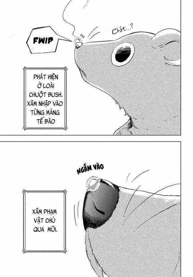 Chuyển Sinh Thành Virus Và Quá Trình Lây Nhiễm Ở Thế Giới Khác Chapter 1 trang 6