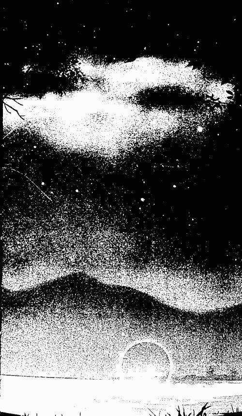 Chuyện Tình Đảo Thiên Đường Chapter 10 trang 3