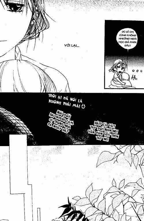 Chuyện Tình Đảo Thiên Đường Chapter 4 trang 45