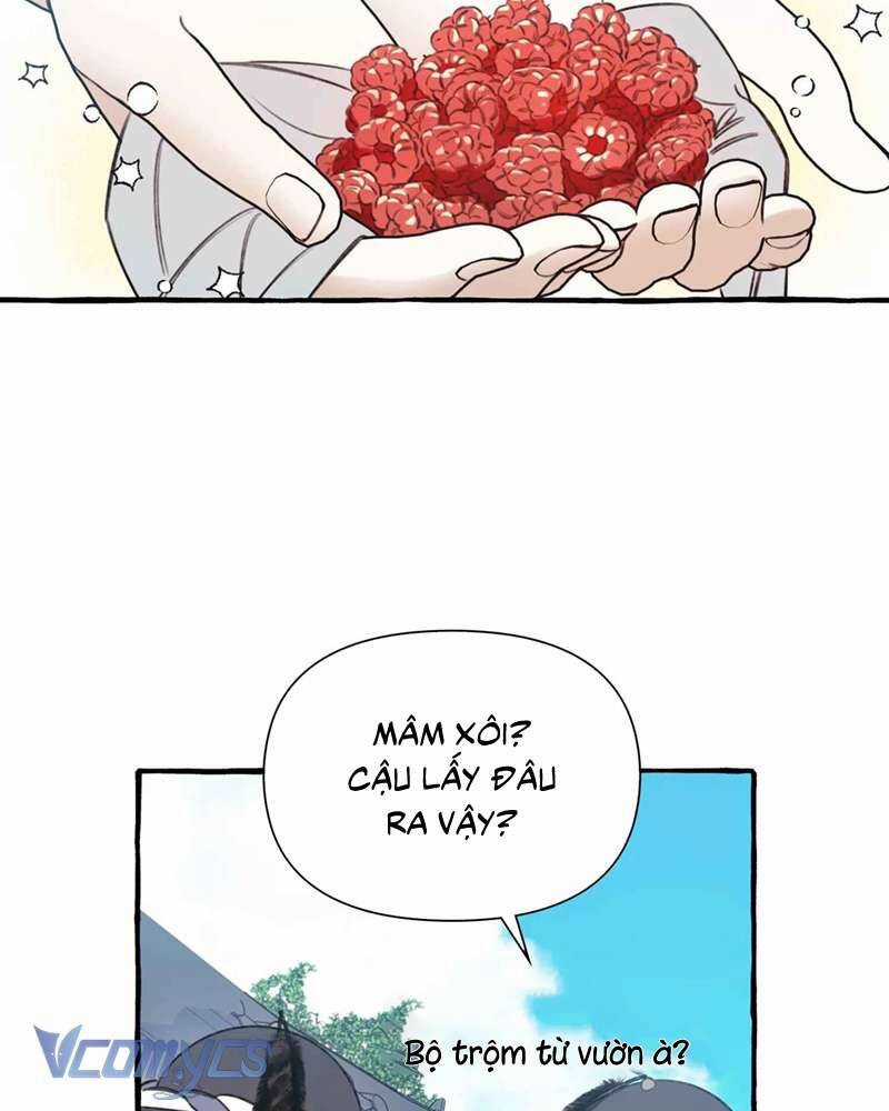 Chuyện Tình Hoa Lưu Ly Chapter 3 trang 5