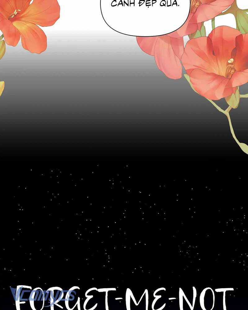 Chuyện Tình Hoa Lưu Ly Chapter 5 trang 4